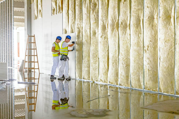 Types of Insulation We Offer in Dyersburg, TN